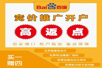 Sem优化公司成功案例：快速占领市场